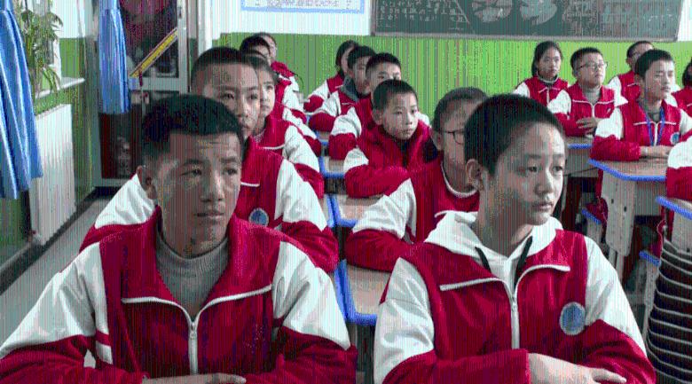 天天趣抓